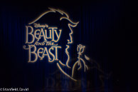 2015 Beauty and The Beast